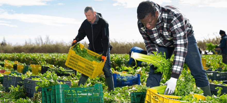 Key challenges in seasonal recruitment for 2023